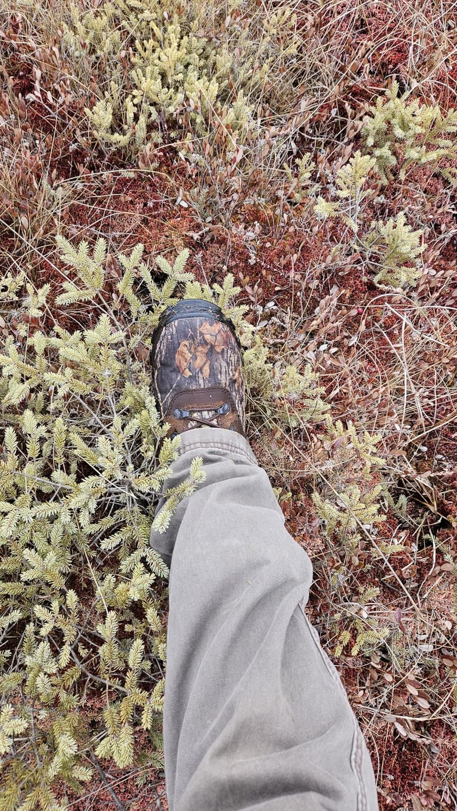 ROCKY Sport Utility 1000G Insulated Waterproof Boot customer photo 1