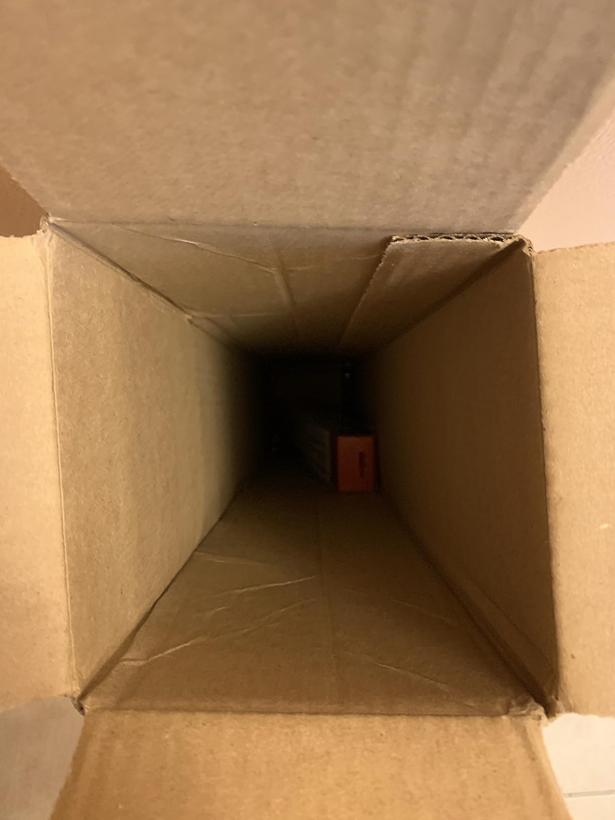 Zilla Desert T8 UVB Fluorescent Light Bulb, 15 Watt customer photo 1