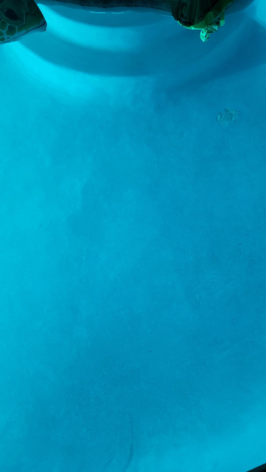 Taylor Technologies K-2005 DPD, 9-in-1 Complete Pool Test Kit customer photo 2