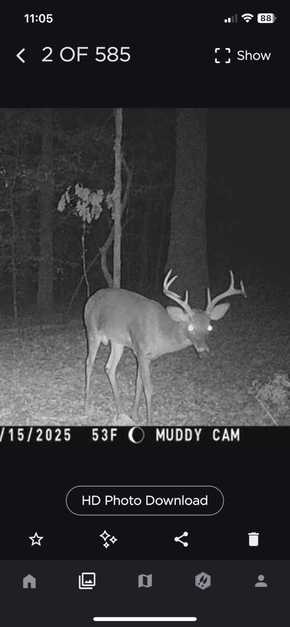 Wildlife Research Center Golden Scrape Deer Attractant customer photo 1