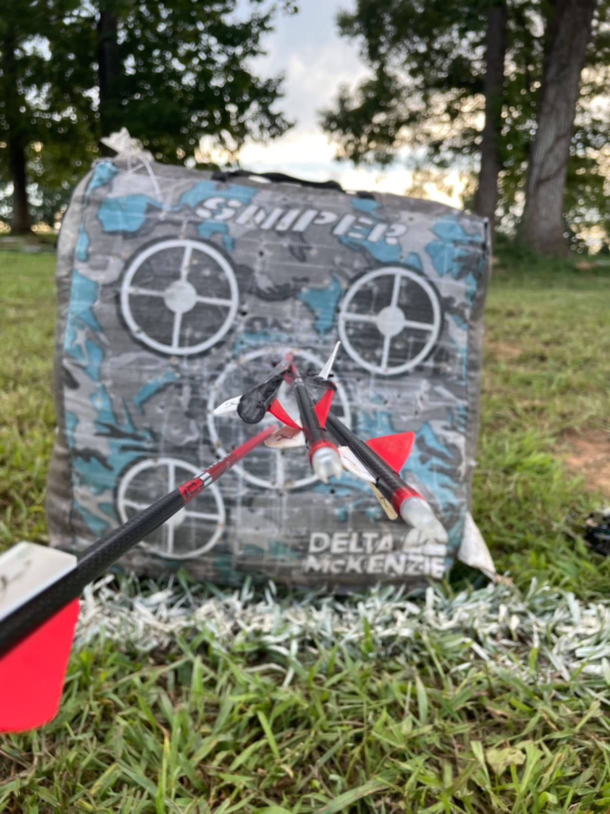 Carbon Express Maxima RED Fletched Carbon Arrows with Dynamic Spine Control and Blazer Vanes, 6-Pack, Available in 250(.400 Spine) & 350(.350 Spine) customer photo 1
