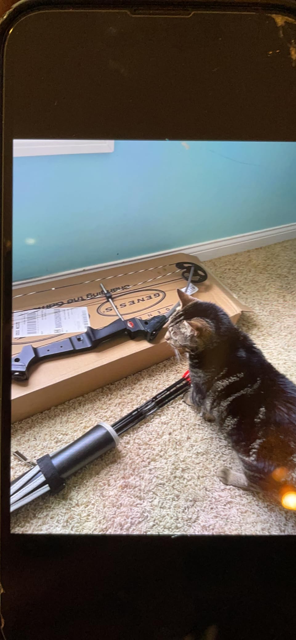 GENESIS Original Archery Compound Bow and Arrow Set, Draw customer photo 2