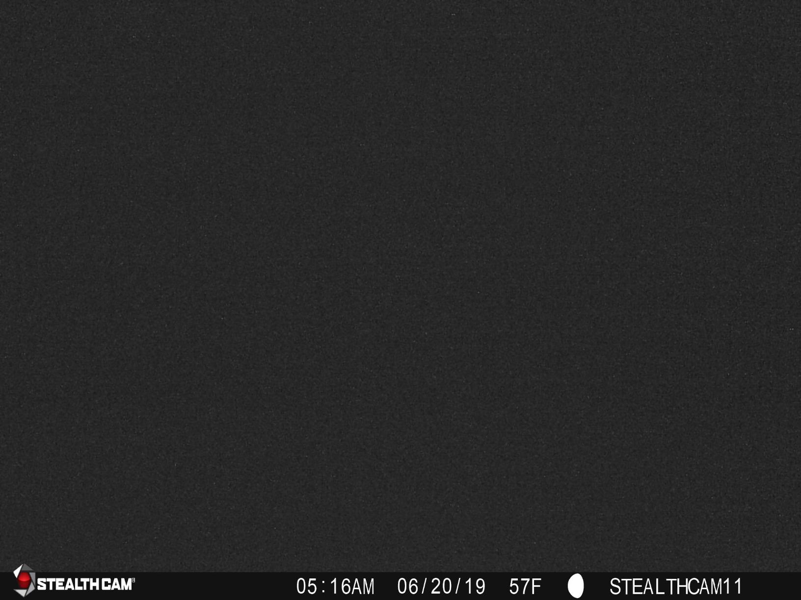 Stealth Cam outdoor Cam 1080p G42NG No Glo Trail and Wildlife Camera. Day or night proven reliability. Designed and Engineered in the USA customer photo 2