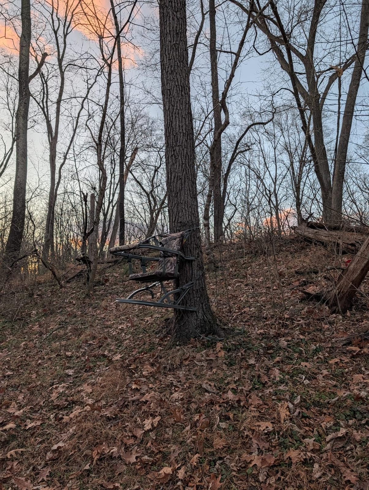 Summit Treestands Viper SD Climbing Treestand customer photo 2