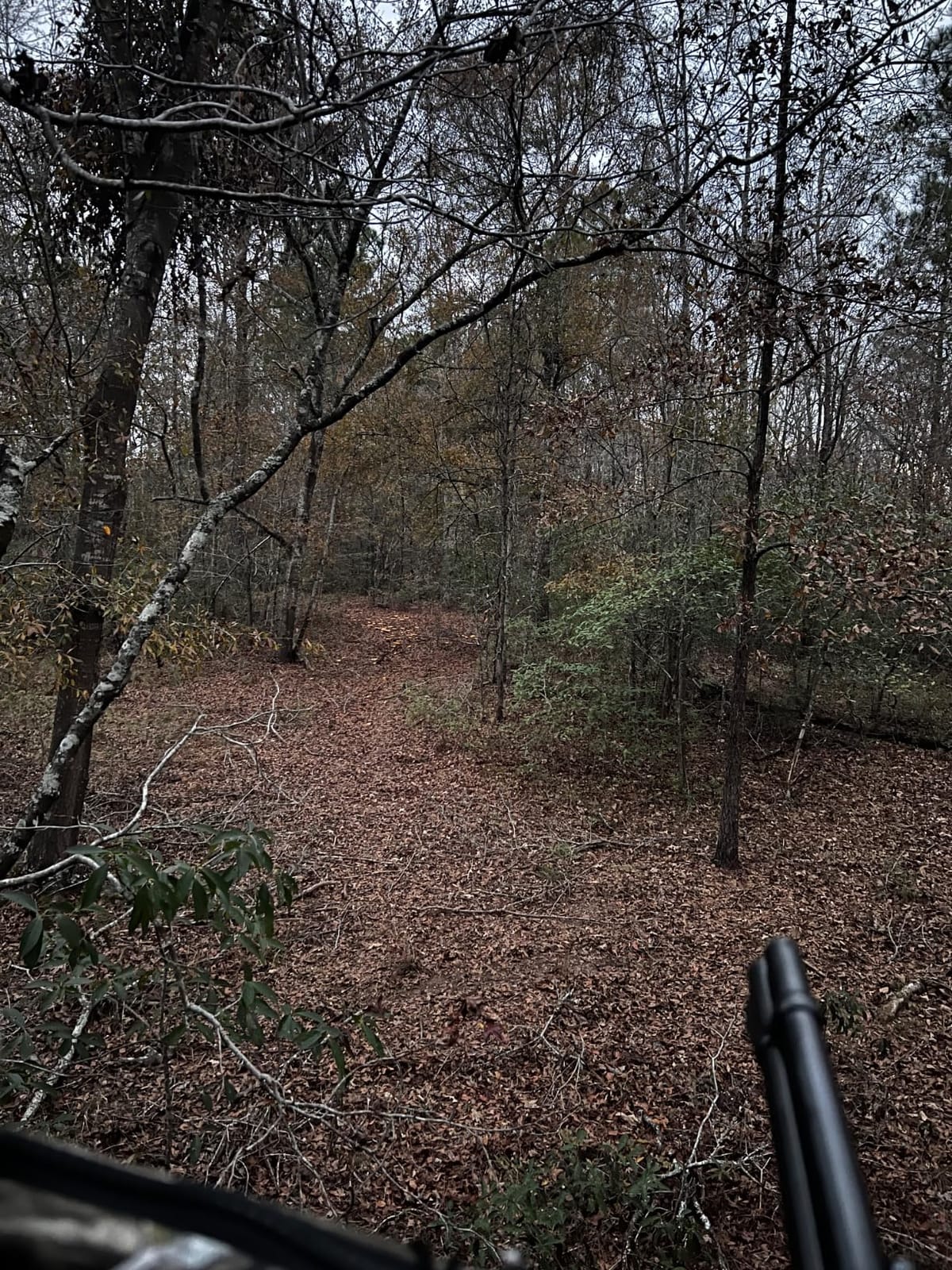Summit Treestands Goliath SD Climbing Treestand, Mossy Oak customer photo 2