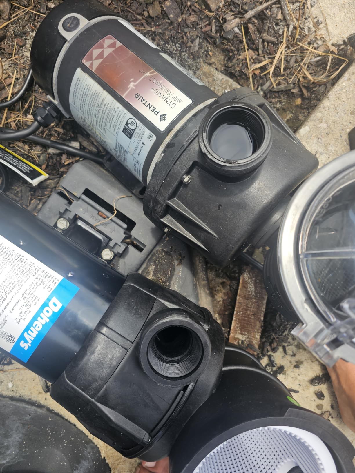 Doheny's 1.5 HP Above Ground Swimming Pool Pump customer photo 1