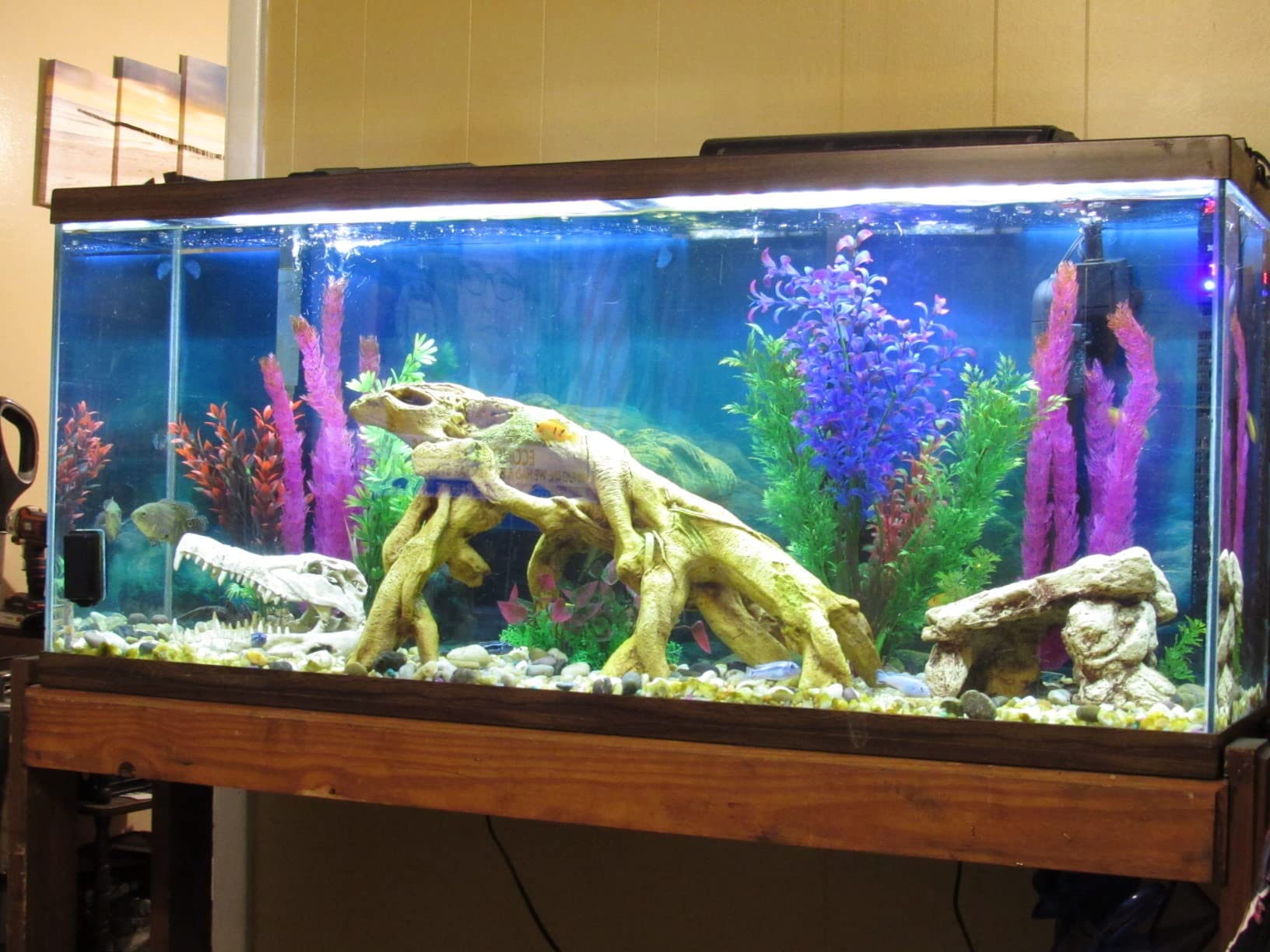 Fluval FX4 High Performance Aquarium Filter, up to 250 Gal. customer photo 2