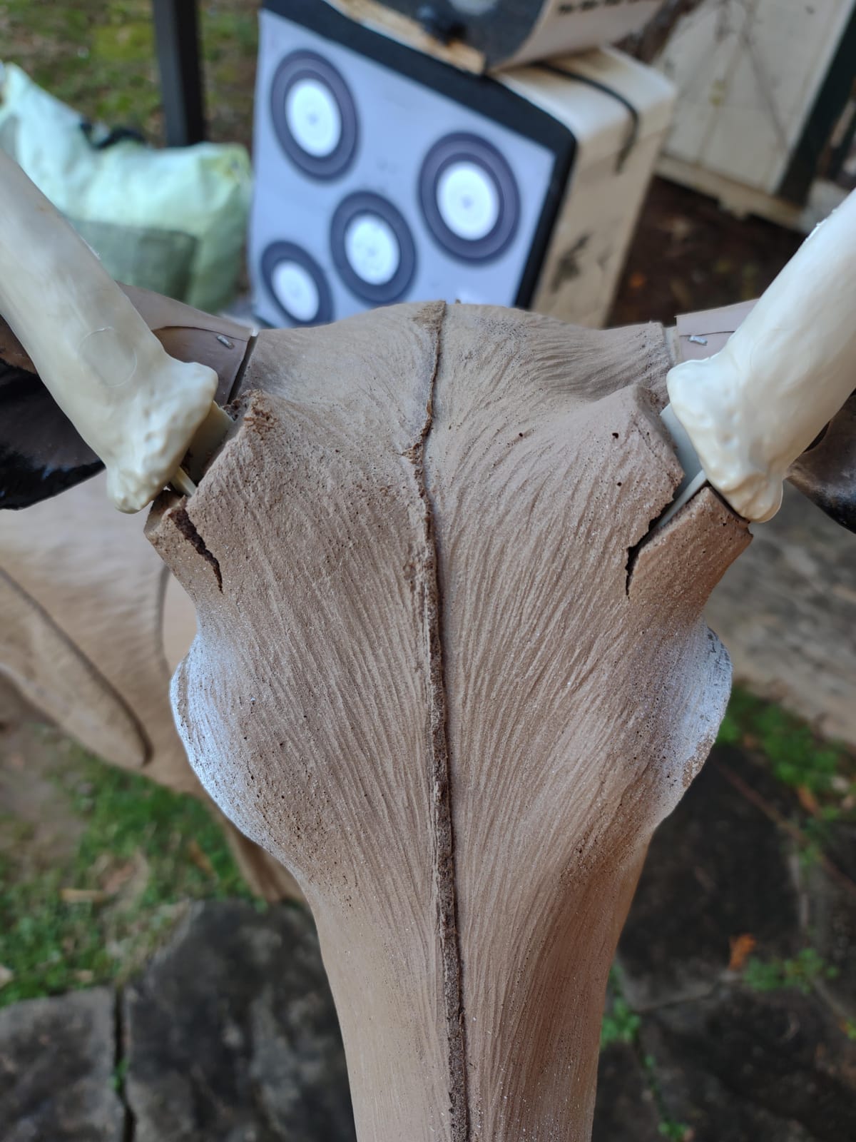 Delta 51490 Bloodline Buck, X-Large customer photo 1