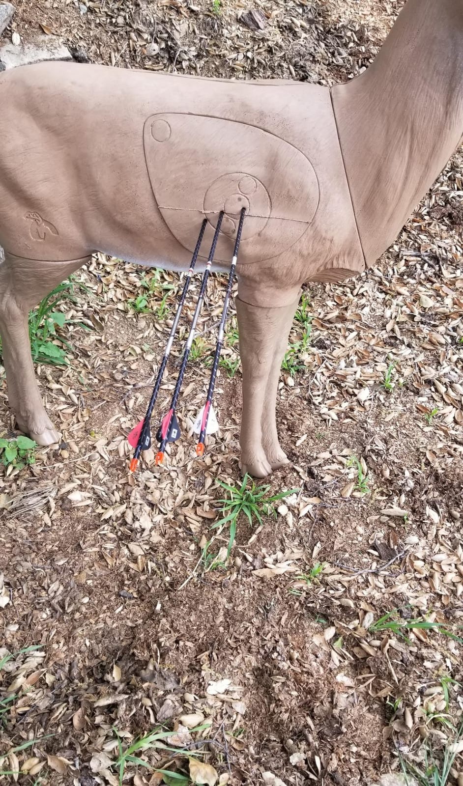 Delta 51490 Bloodline Buck, X-Large customer photo 2