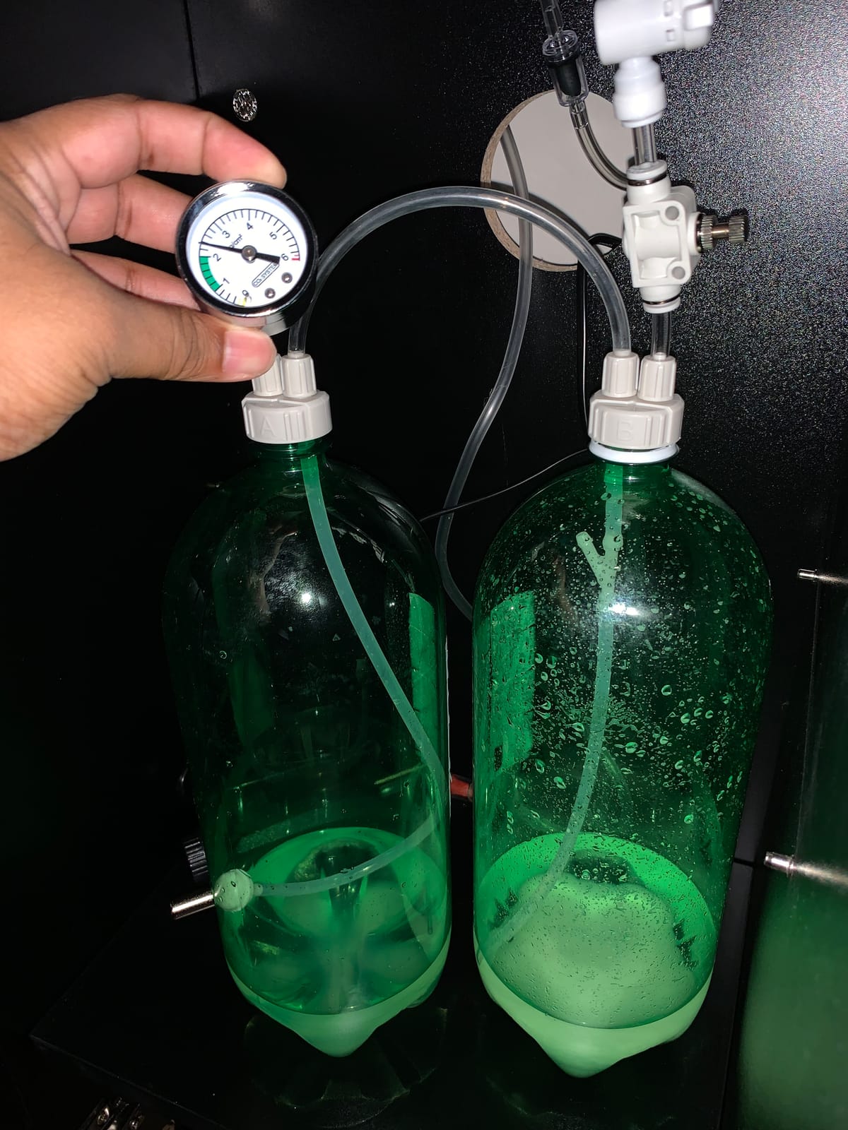 Aquarium CO2 Generator Kit with Gauge, Needle Valve DIY customer photo 2