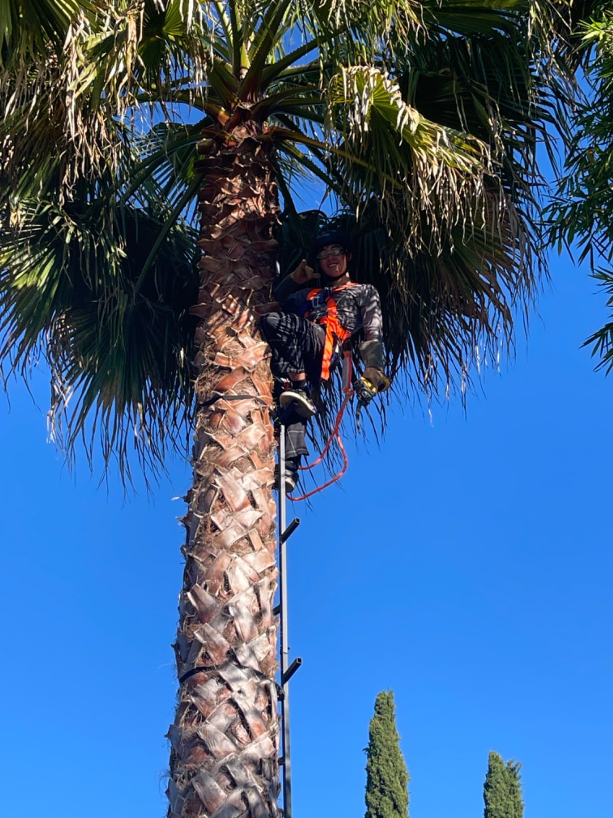 Guide Gear Climbing Stick Ladder for Tree Stands, Climbing Equipment for Deer Hunting, 25’ customer photo 1