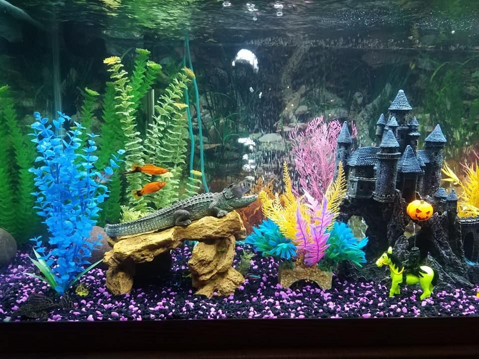 Marineland Magniflow 400 GPH Canister Aquarium Filter customer photo 1