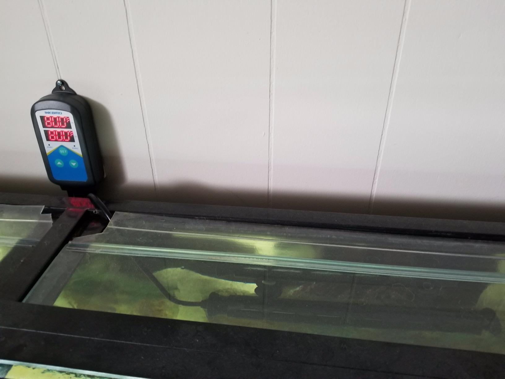 Finnex Premium Titanium Aquarium Heater, TH Series, Deluxe Nickel Coil, Heater Guard, Made in Taiwan (500 Watts) customer photo 2