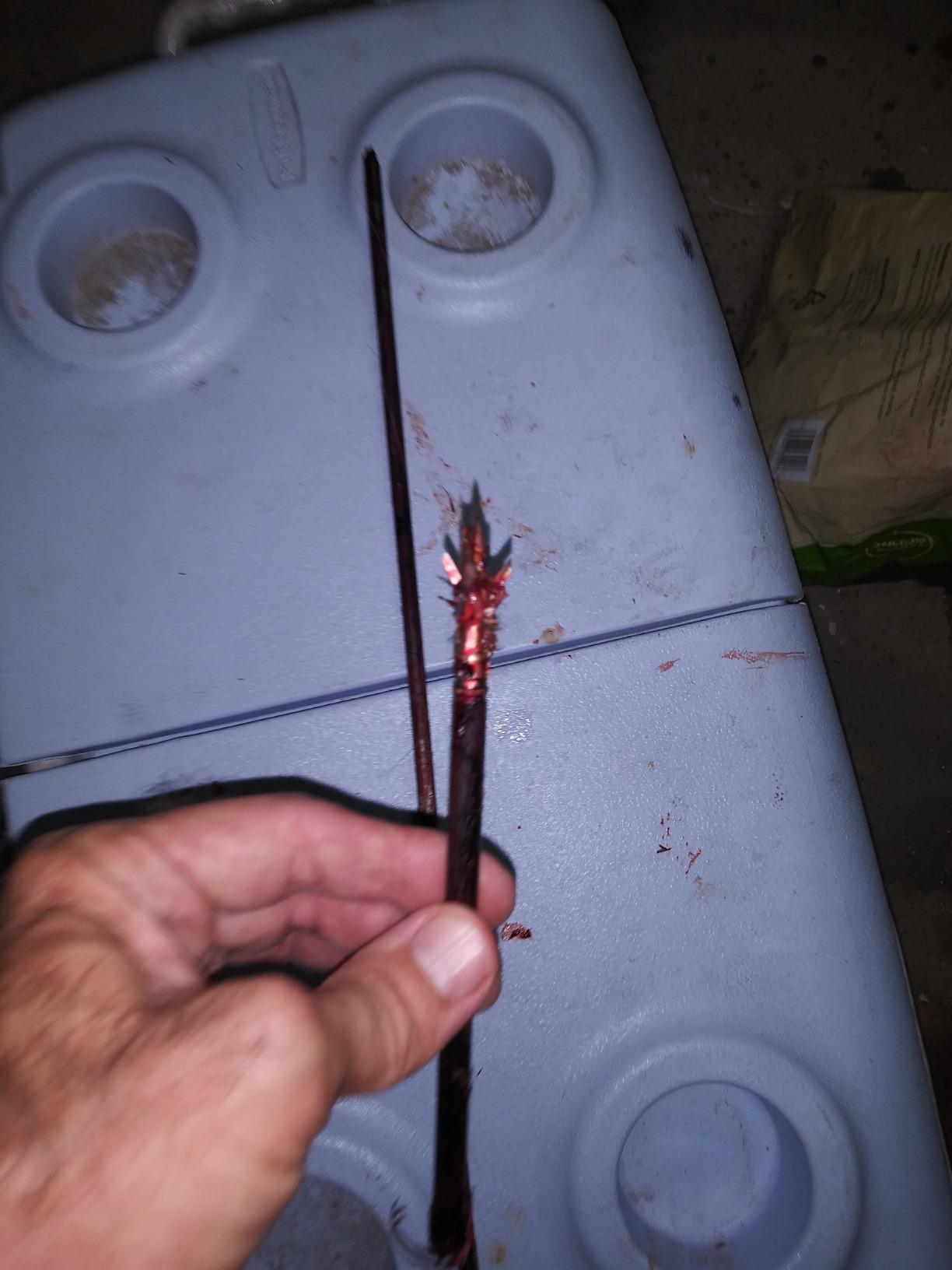 Bloodsport Gravedigger 4-Blade Hunting Hybrid Mechanical Broadhead with Chisel Tip - 100 Grains | 1