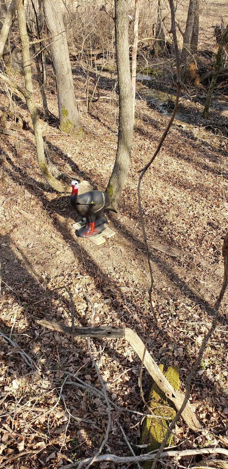 SHOOTER Turkey 3D Archery Target, Lifelike Solid Body Design for Realistic Practice, Scoring Ring in Vitals, Includes Ground Stakes, 32”H x 31.5” W Size customer photo 2
