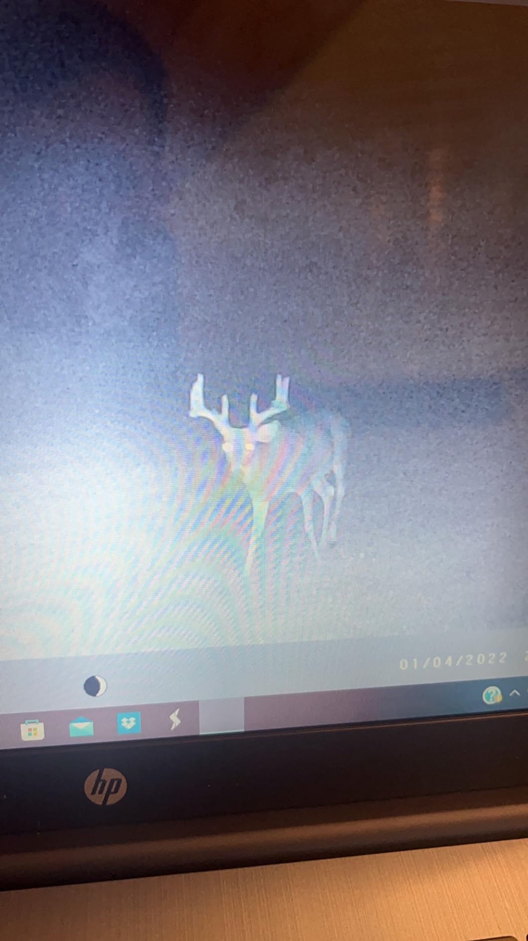 Wildlife Research Center Doe in Estrus customer photo 1