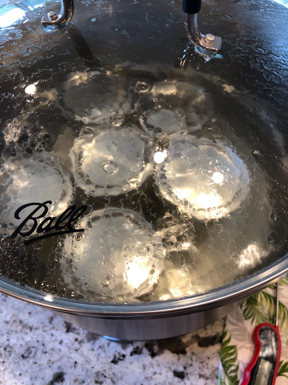 Ball Electric Canner customer photo 2