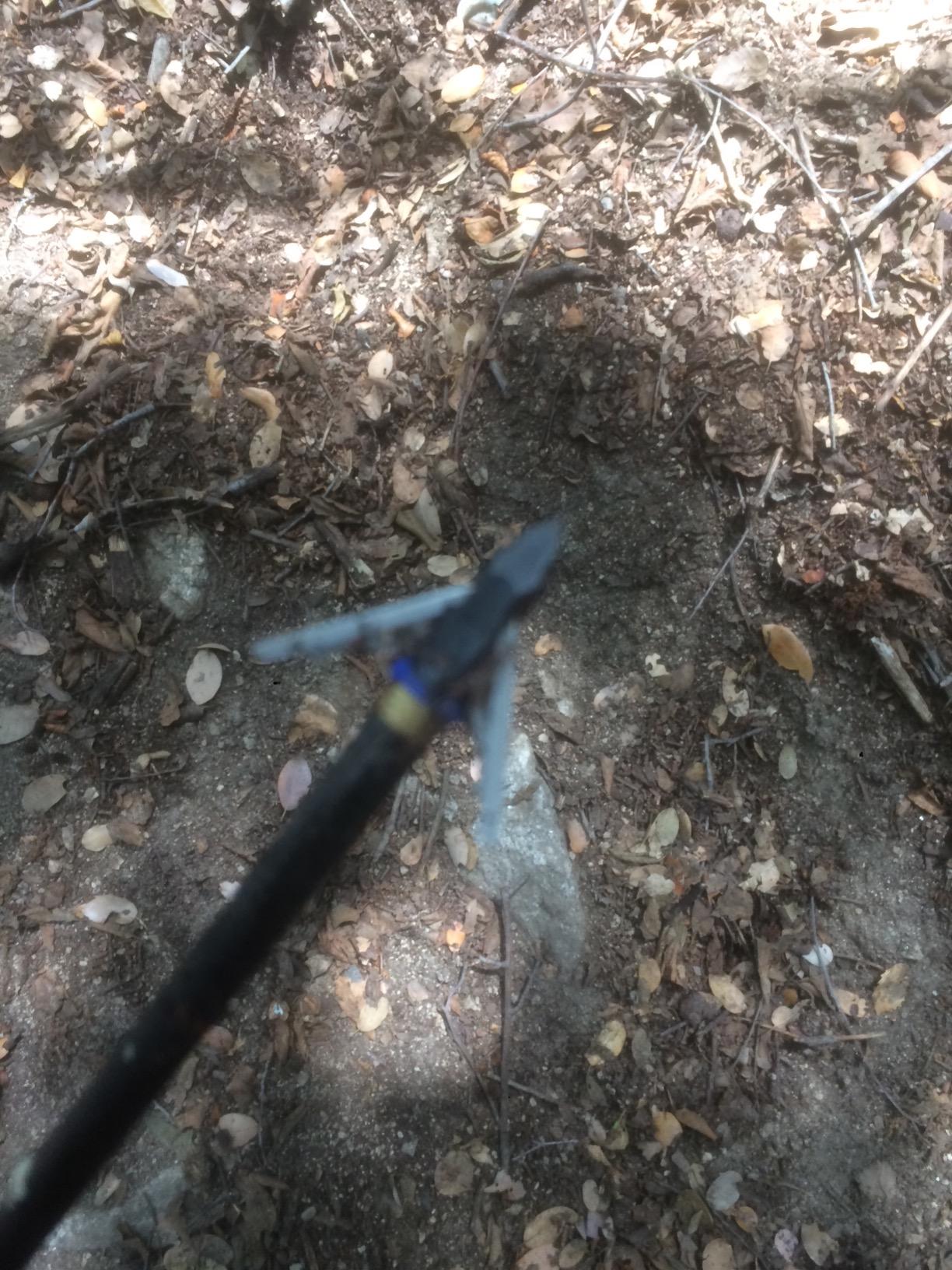 G5 Deadmeat V2 Expandable 3-Blade Broadheads, 3 Pack, Compound & Recurve customer photo 2