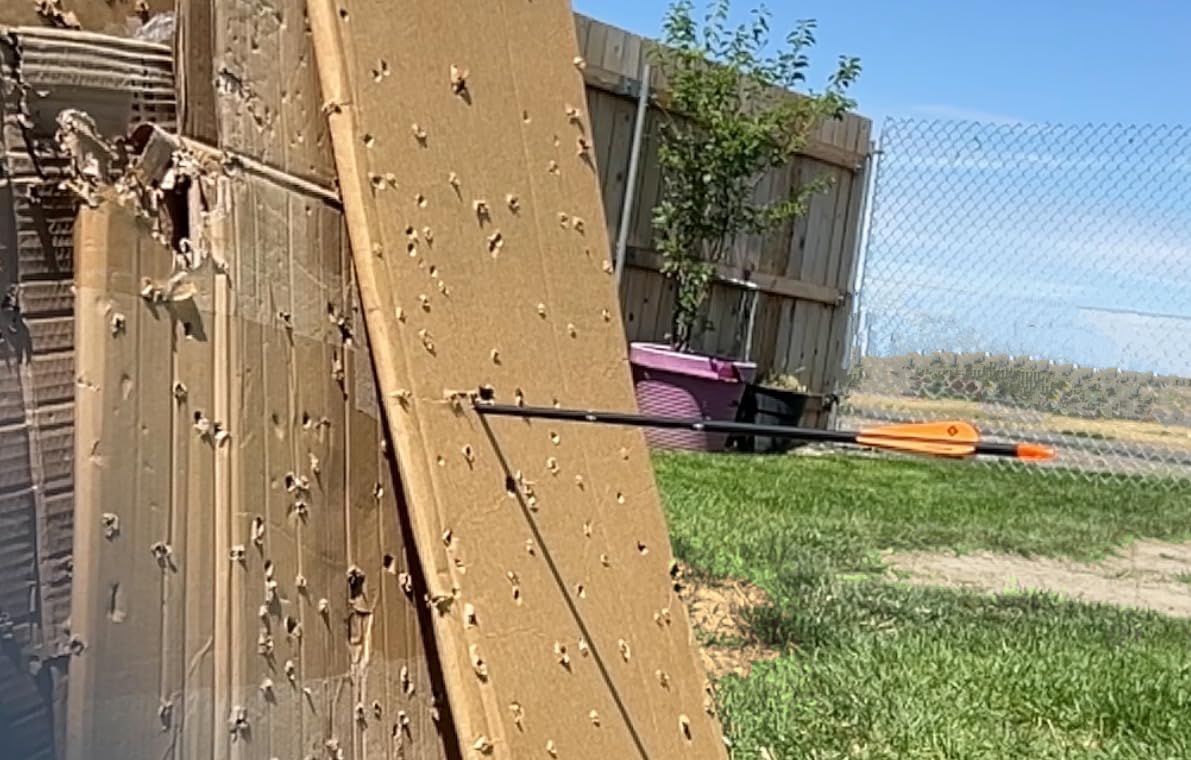 TIGER ARCHERY 30