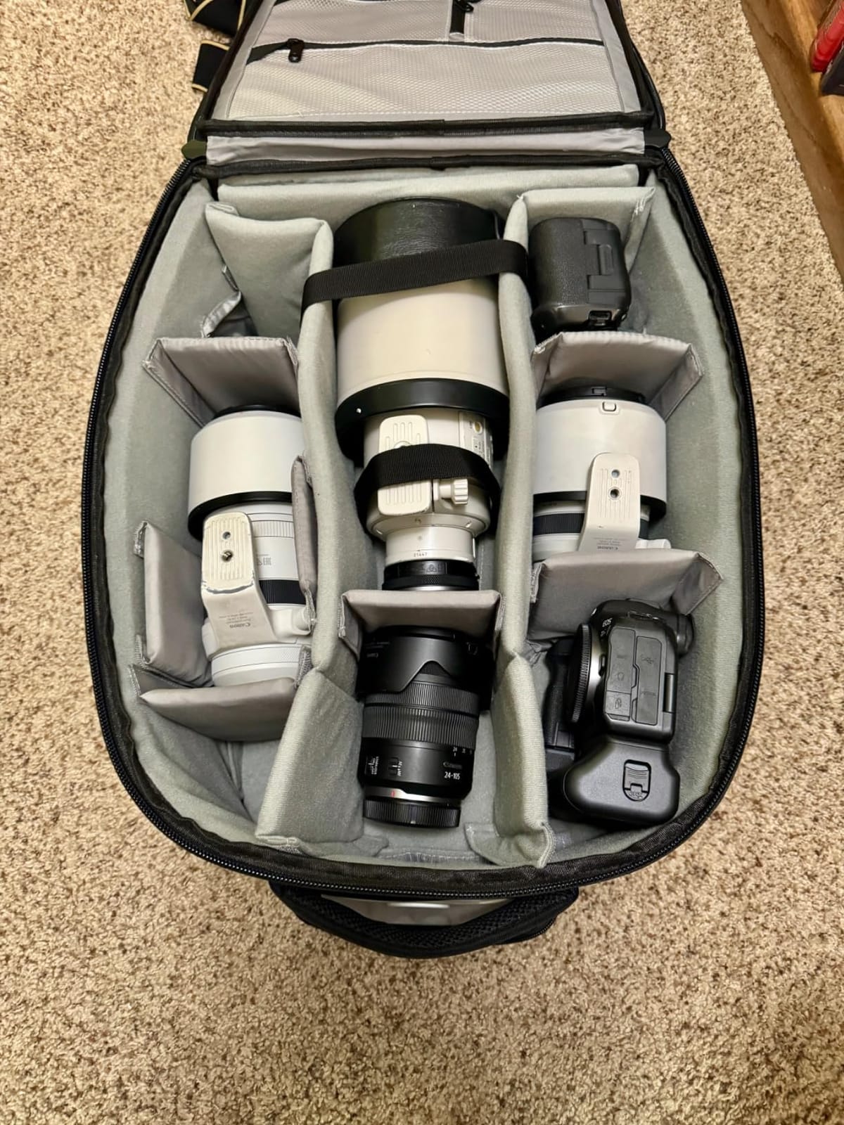 NEEWER Convertible Rolling Camera Backpack for SLR/DSLR and Accessories customer photo 1