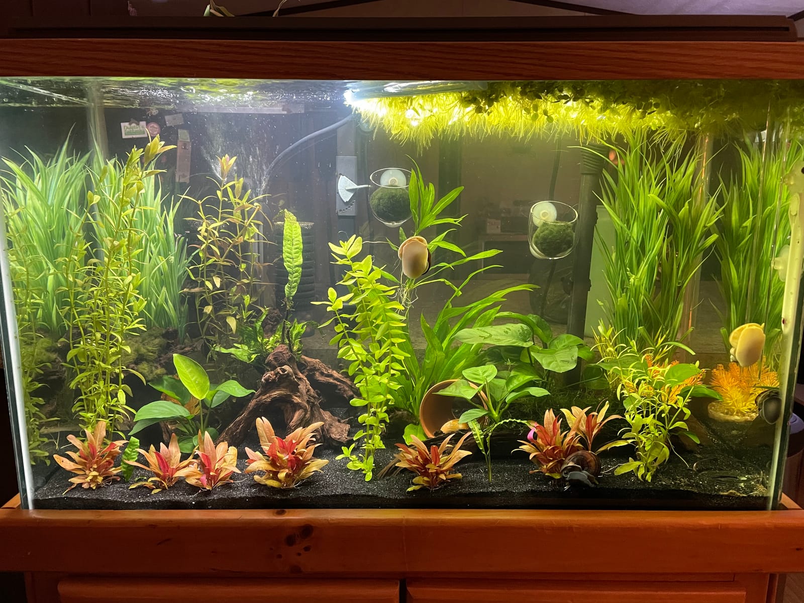 Fluval Aquasky 2.0 Bluetooth LED Aquarium Light, 18W, 24–36
