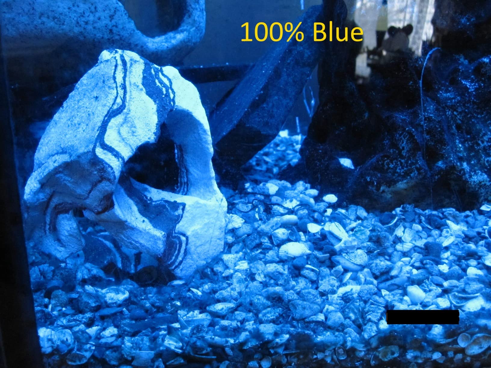 Fluval Plant 3.0 LED Planted Aquarium Lighting, 59 Watts, 48-60 Inches customer photo 2
