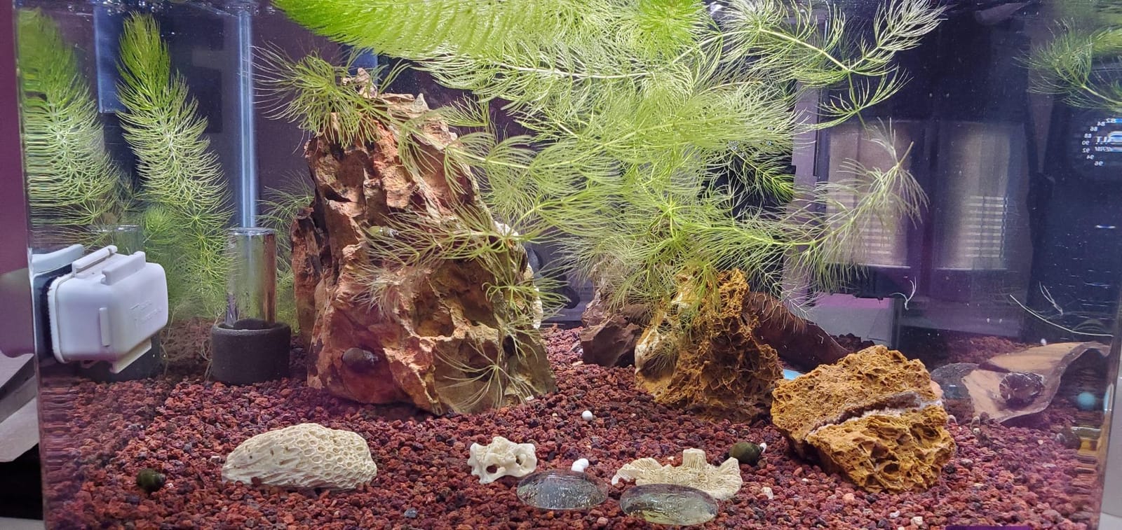 Fluval SEA Marine Nano LED Aquarium Lighting with Bluetooth, 20 Watts,Glass customer photo 1