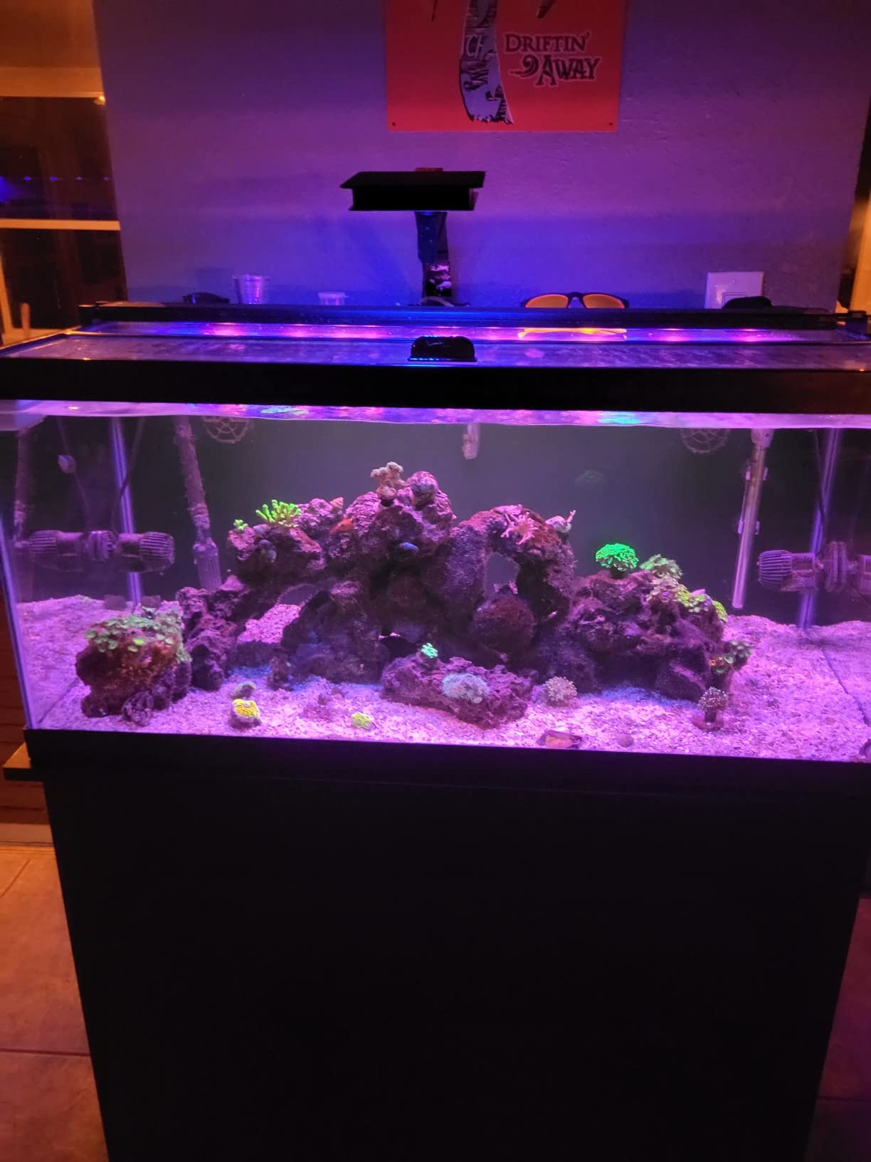 Fluval SEA Marine Nano LED Aquarium Lighting with Bluetooth, 20 Watts,Glass customer photo 2