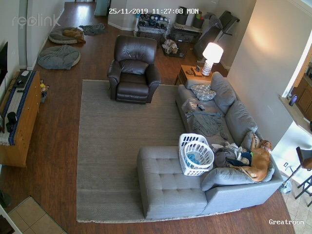 REOLINK 5MP 8CH Home Security Camera System with 2TB HDD RLK8-520D4-5MP customer photo 1