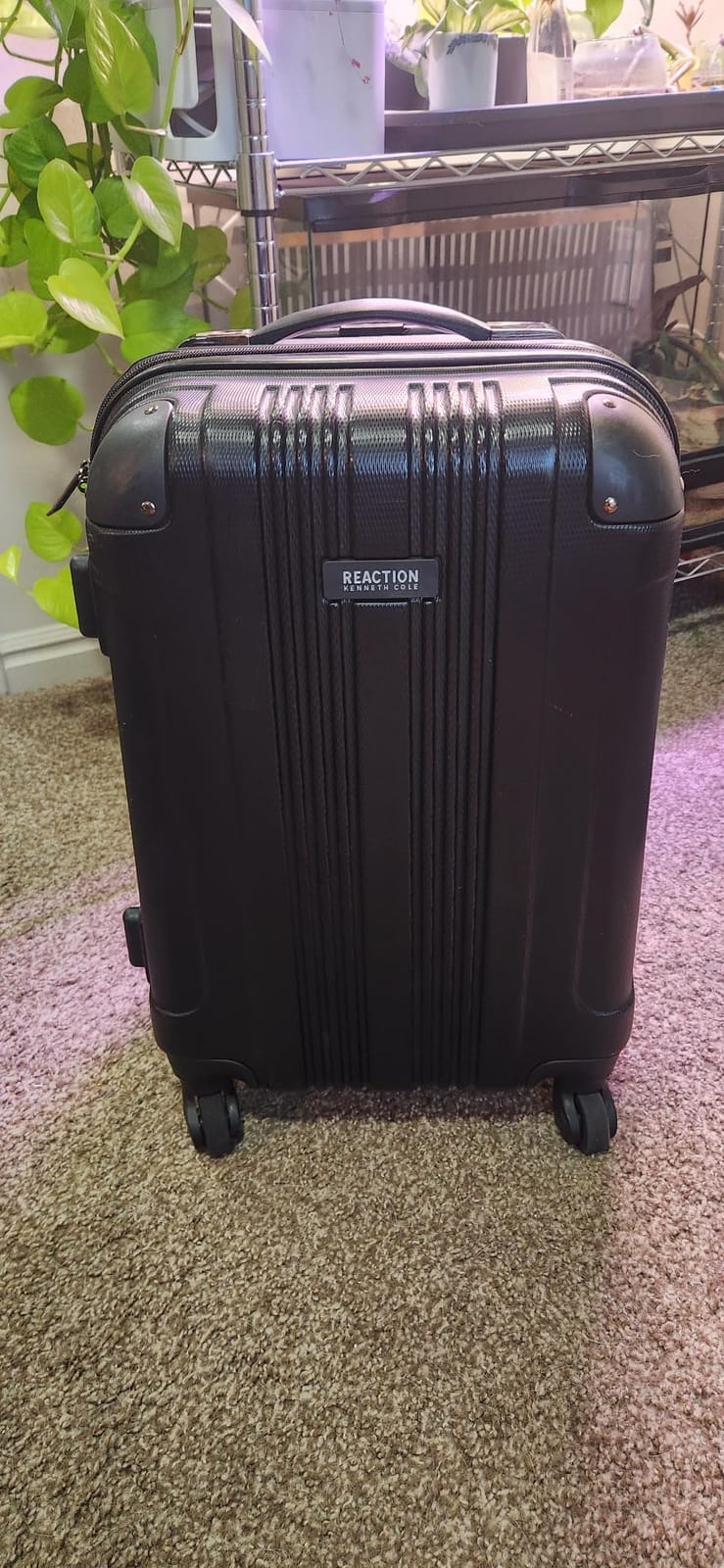 Kenneth Cole REACTION Out of Bounds Lightweight Hardshell 4-Wheel Spinner Luggage, Rose Gold, 2-Piece Set (20
