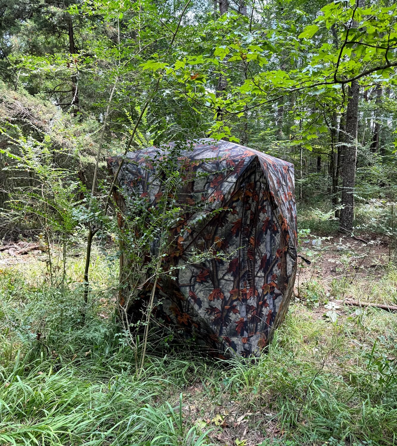 Barronett Blinds Prowler 300, Portable Hunting Blind, Tall Hub Blind, Shoot While Standing, Lightweight, 2-Person, Bloodtrail Woodland, 80” x 75” x 75”, PR300BT customer photo 2