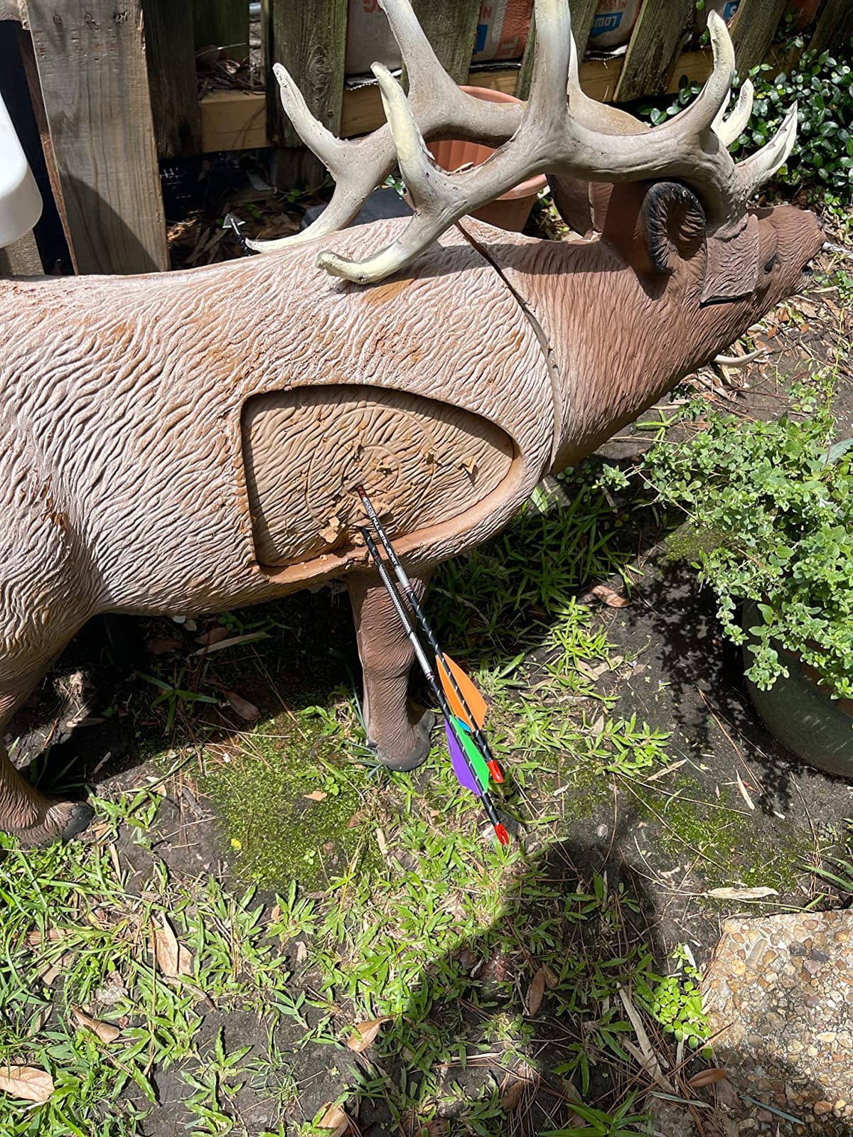 Rinehart 1/3 Scale Woodland Elk Target customer photo 1