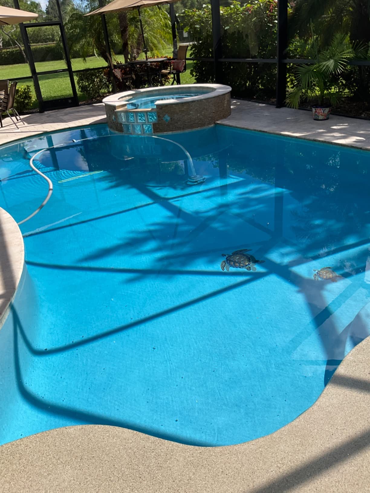 Hayward PoolVac XL Suction Pool Cleaner for Inground Pools up to 20 x 40 ft customer photo 1