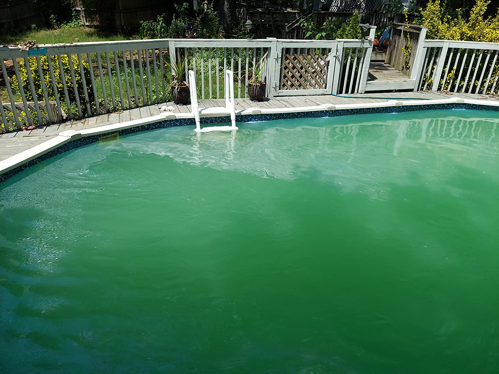 Hayward ProSeries Swimming Pool Sand Filter for Above Ground Pools, 18 Inch customer photo 2