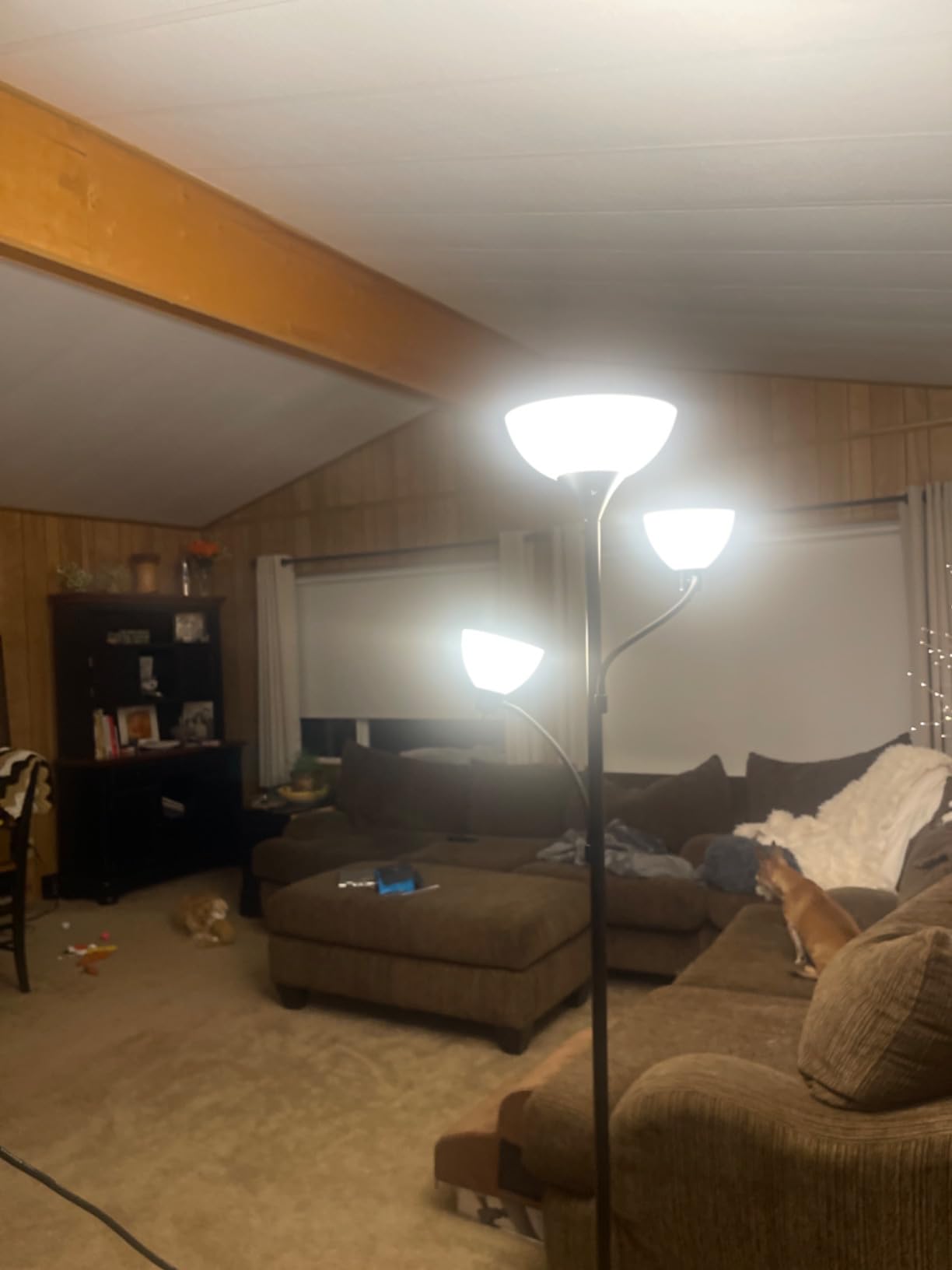 Brightech Sky Dome Double LED Floor Lamp, Torchiere Super Bright Floor Lamp with 2 Reading Lamps for Living Rooms & Offices - Dimmable Tall Standing Lamp for Bedroom Reading - Tall Black Pole customer photo 2