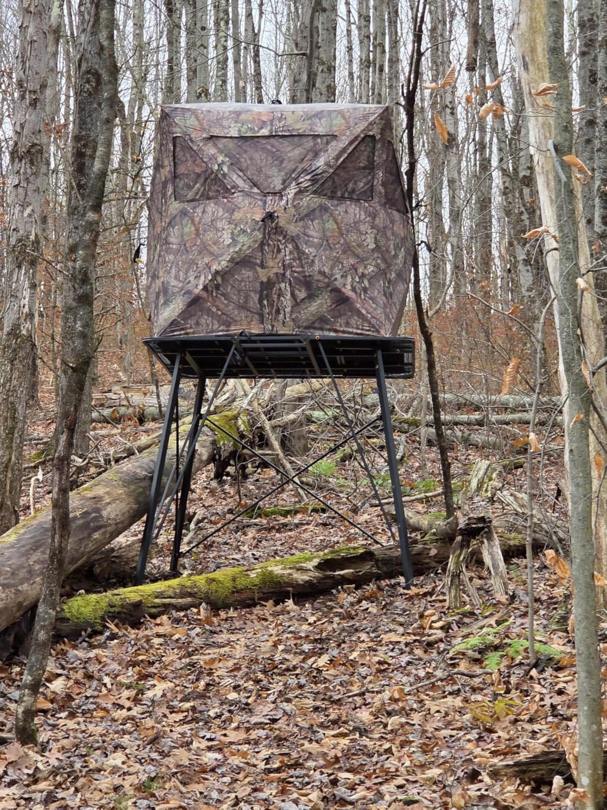 Ameristep Care Taker Ground Blind, Mossy Oak Break Up Country, Model: None customer photo 1