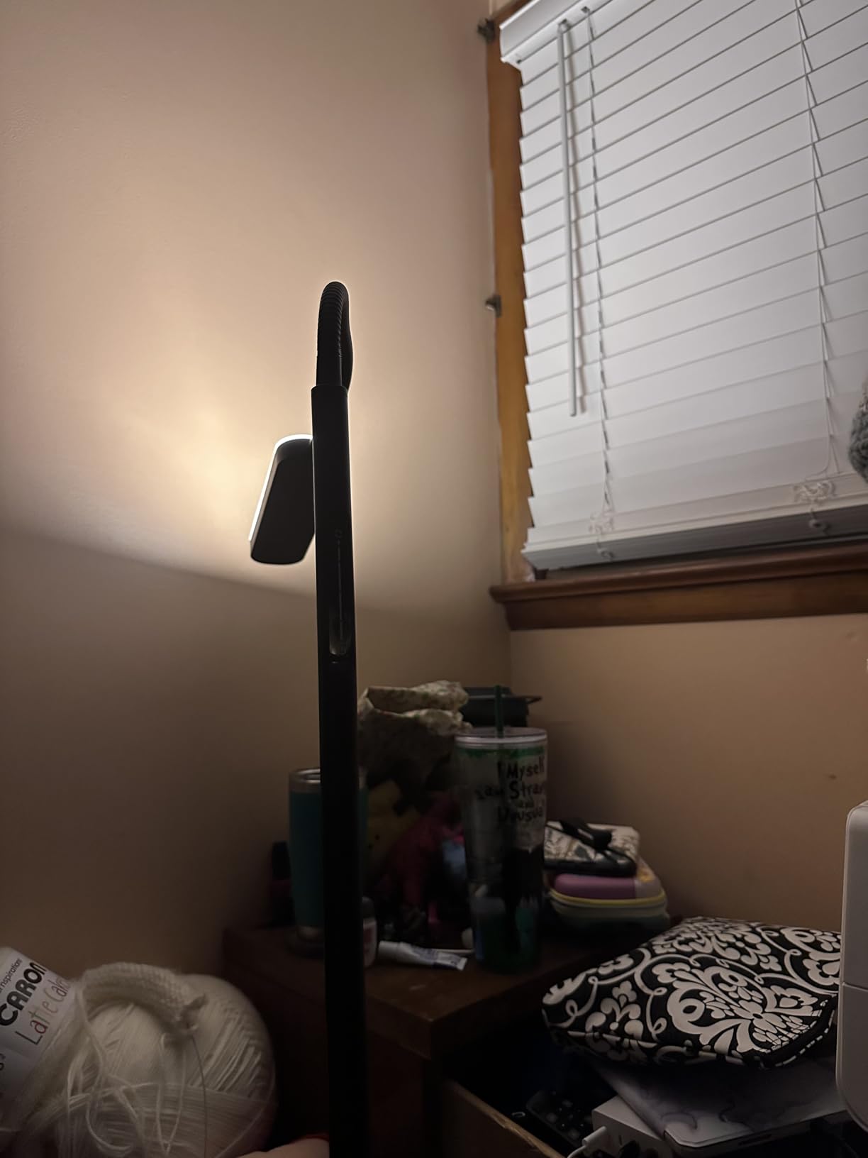 Wio-Mio Floor Lamp, 15W/1000LM Bright LED Floor Lamp with Stepless Dimming customer photo 2