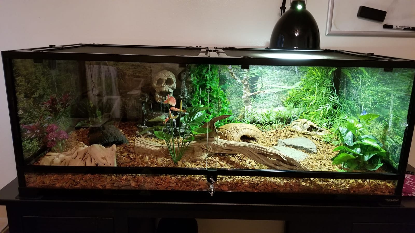 Carolina Custom Cages, 36Lx24Wx24H Tall Large Deep Terrarium; Easy Assembly customer photo 2