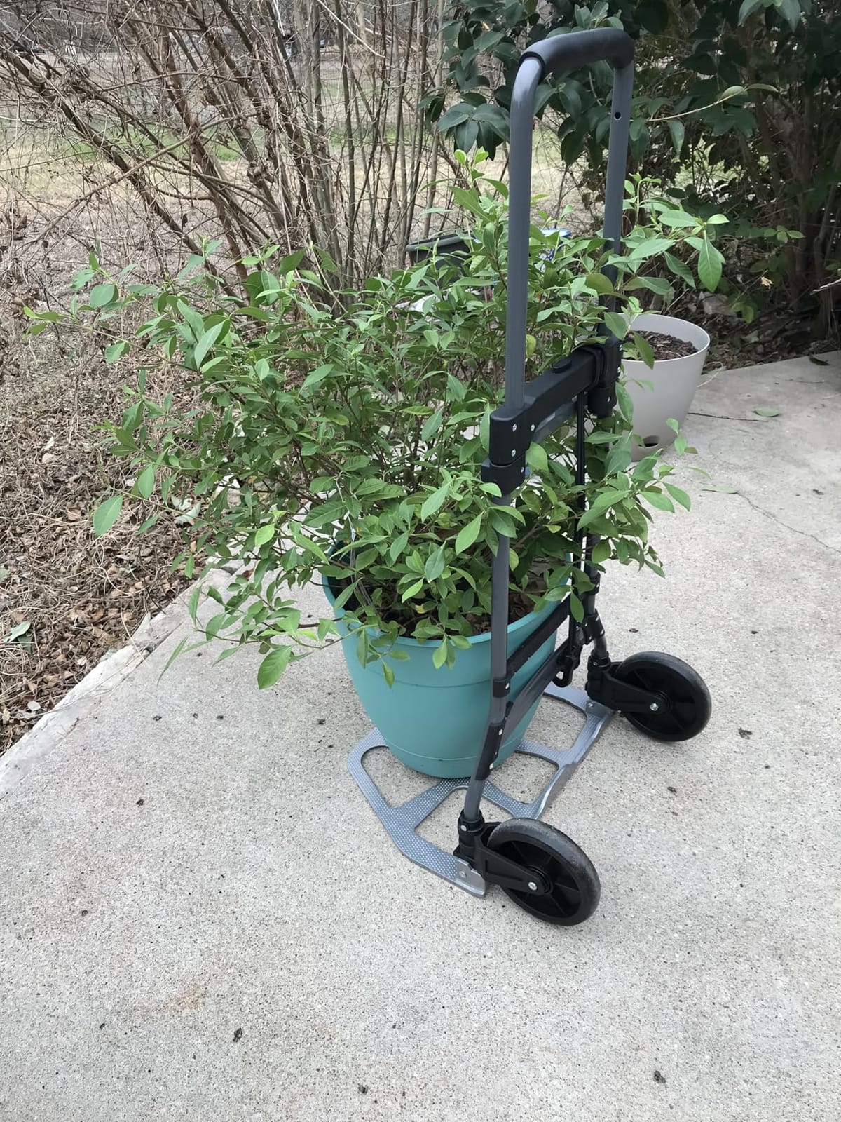 Leeyoung Folding Hand Truck and Dolly, 264 Lb Capacity Heavy-Duty Luggage Trolley Cart with Telescoping Handle and PP+EVA Wheels customer photo 2