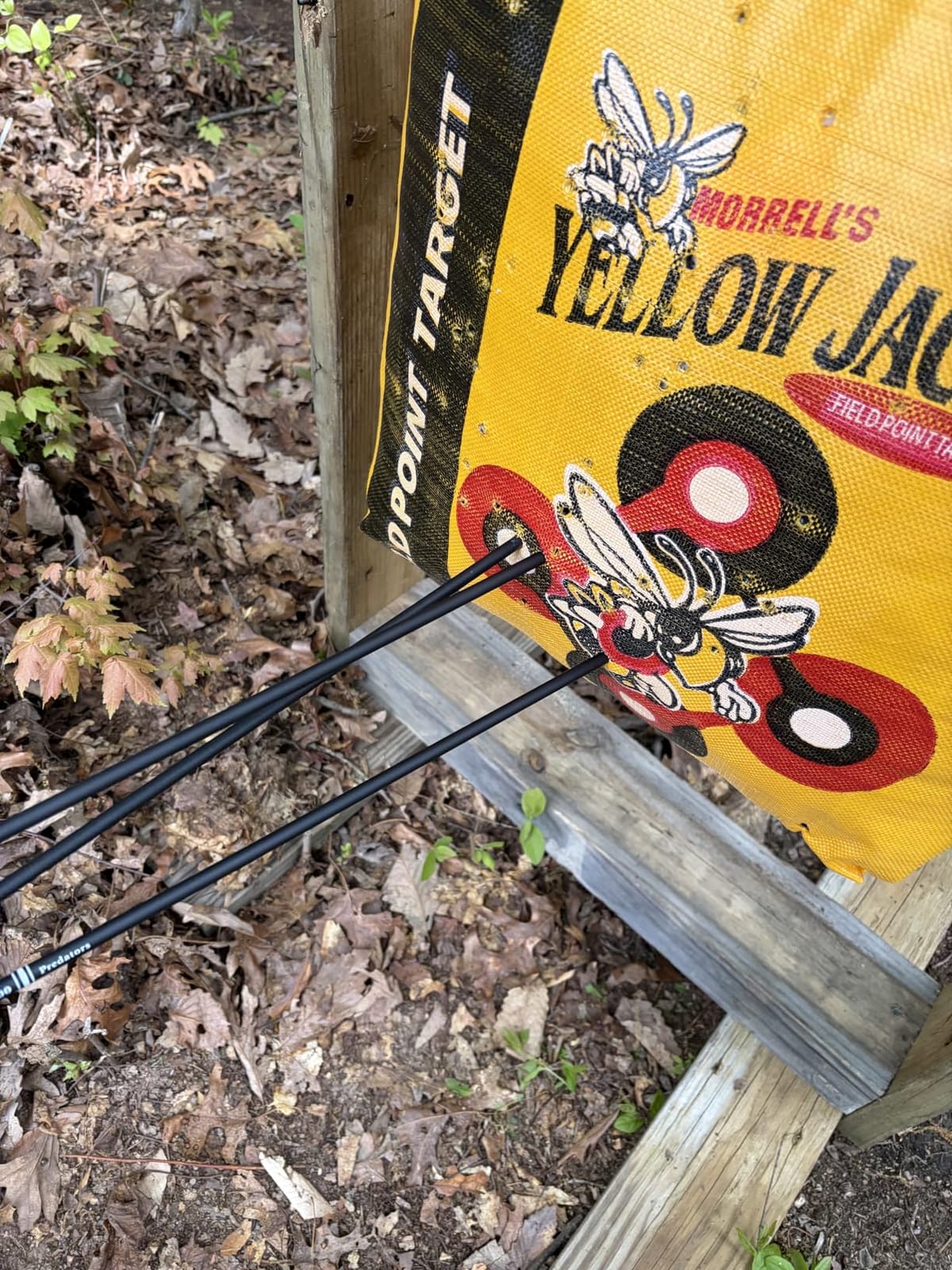 Sanlida Archery Dragon X8 RTH Compound Bow Package for Adults and Teens,18”-31” Draw Length,0-70 Lbs Draw Weight,up to IBO 310 fps,No Bow Press Needed,Limited Life-time Warranty,RH Only customer photo 2