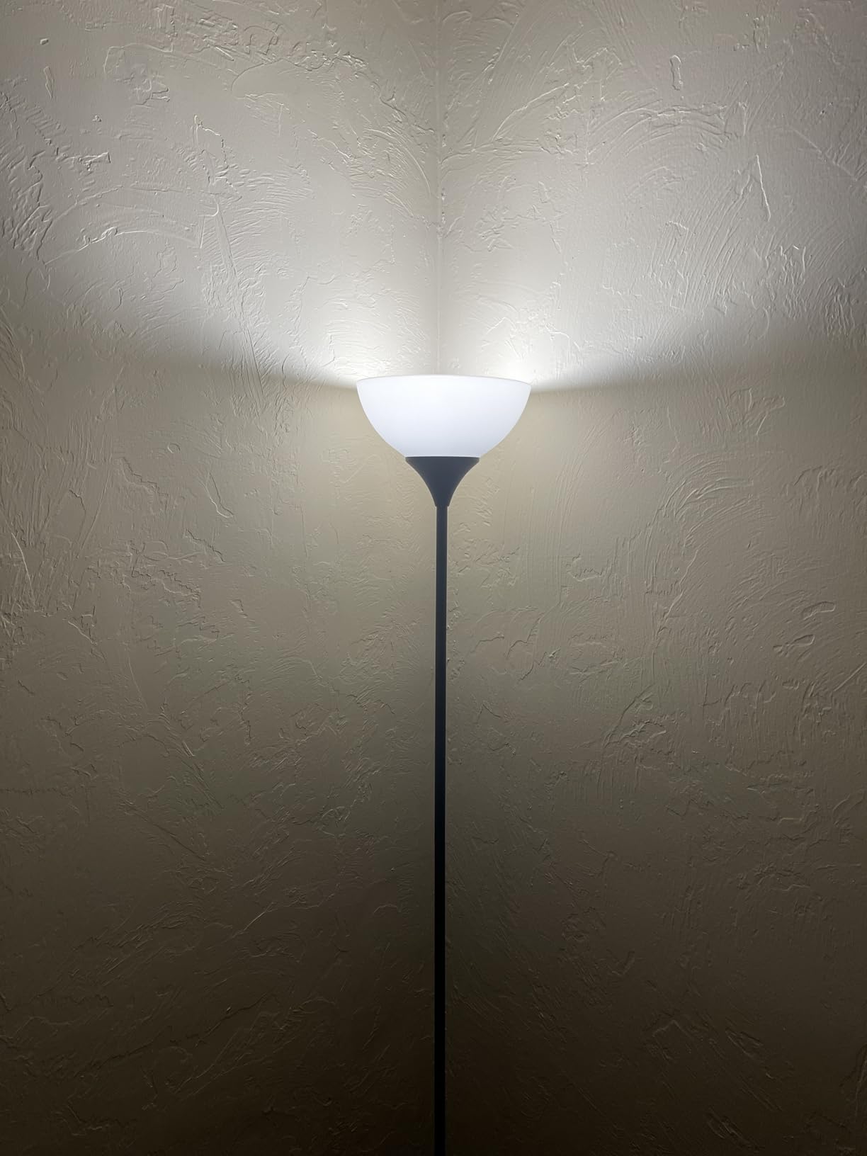 PESRAE Floor Lamp, Remote Control, Stepless Brightness & Color Temperature customer photo 1