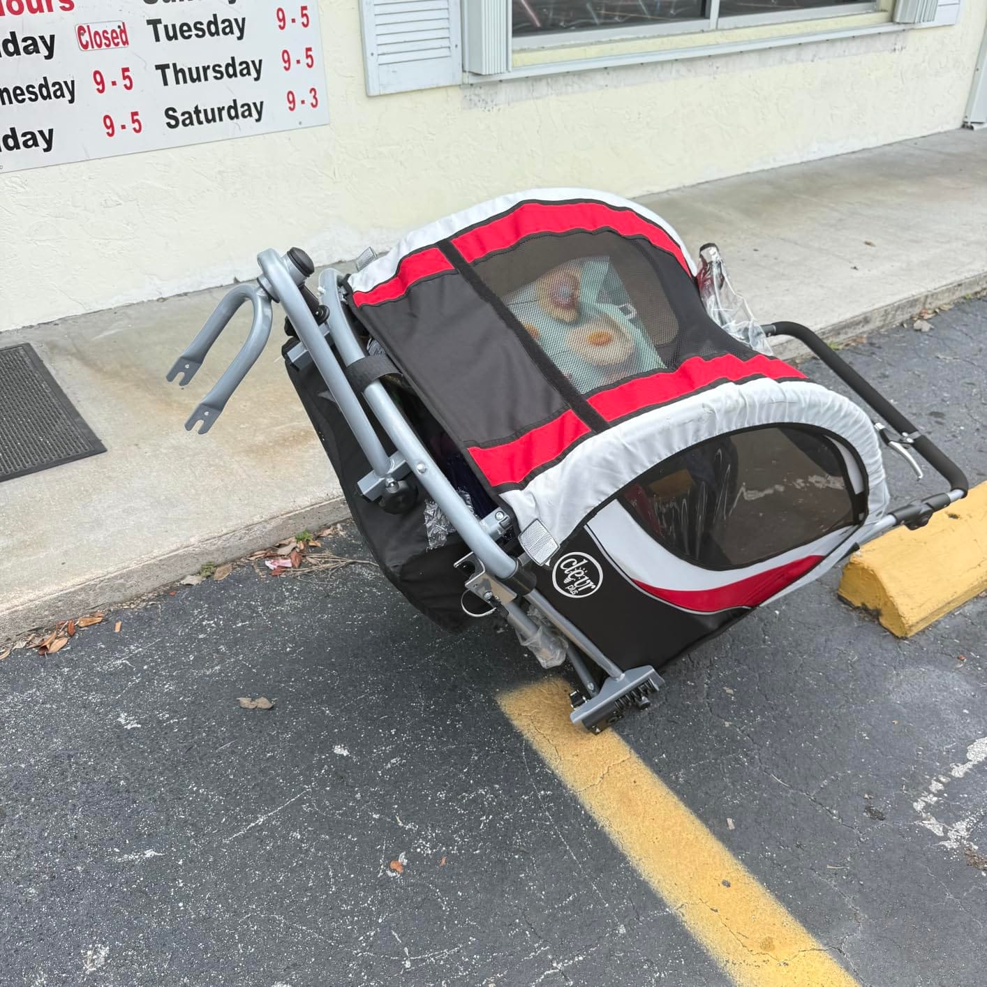 ClevrPlus Deluxe 3-in-1 Double 2 Seat Bicycle Bike Trailer Jogger Stroller for Kids Children | Foldable Collapsible w/Pivot Front Wheel customer photo 2