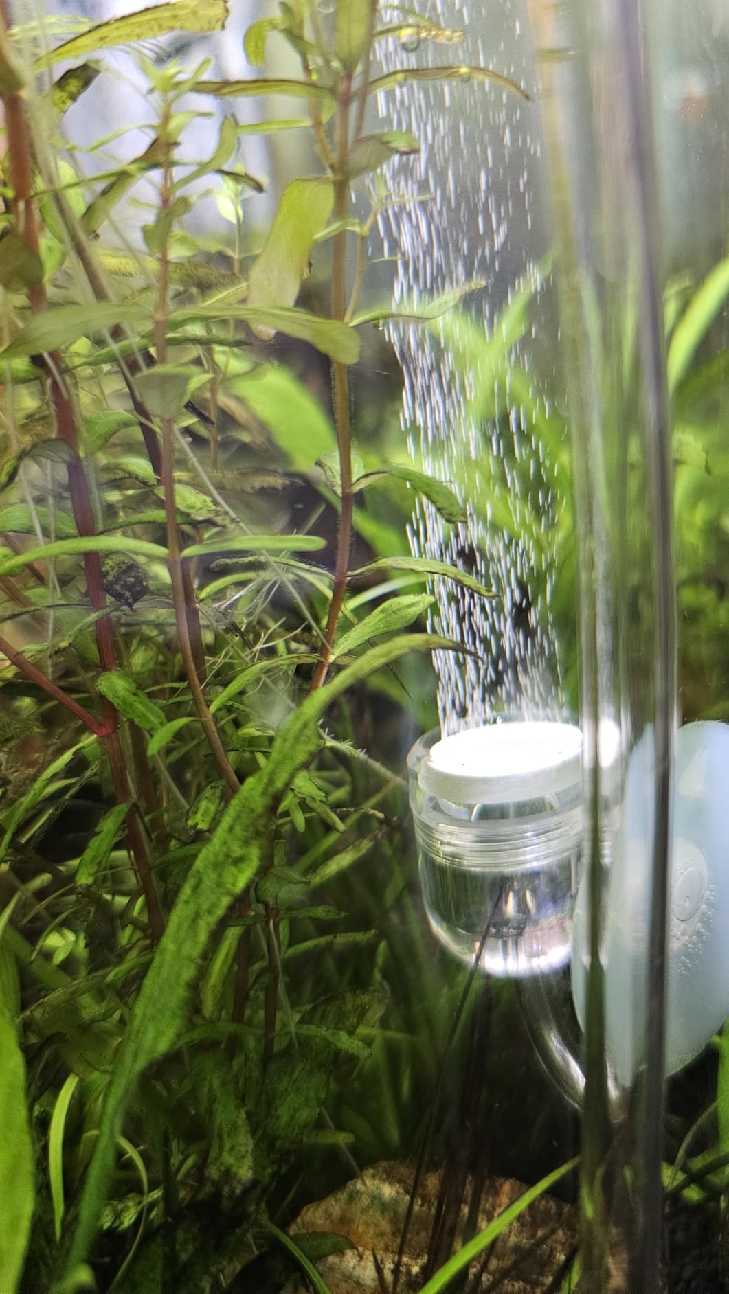 Aquarium CO2 Generator Double Runtime with Solenoid Valve 4L, G700S customer photo 2
