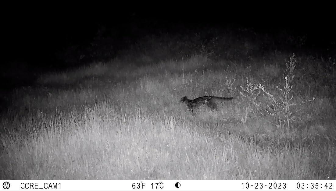 Bushnell No Glow Trail Camera CORE S-4K customer photo 1