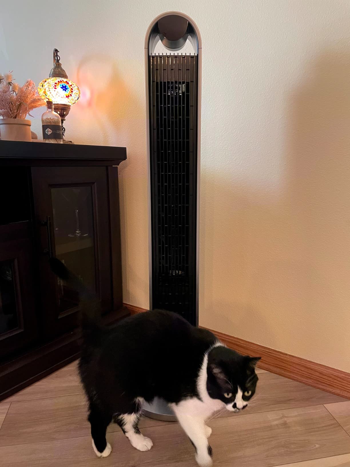 DREO Smart Tower Fan for Bedroom, 120° Oscillating Fan, 12 Speeds customer photo 1