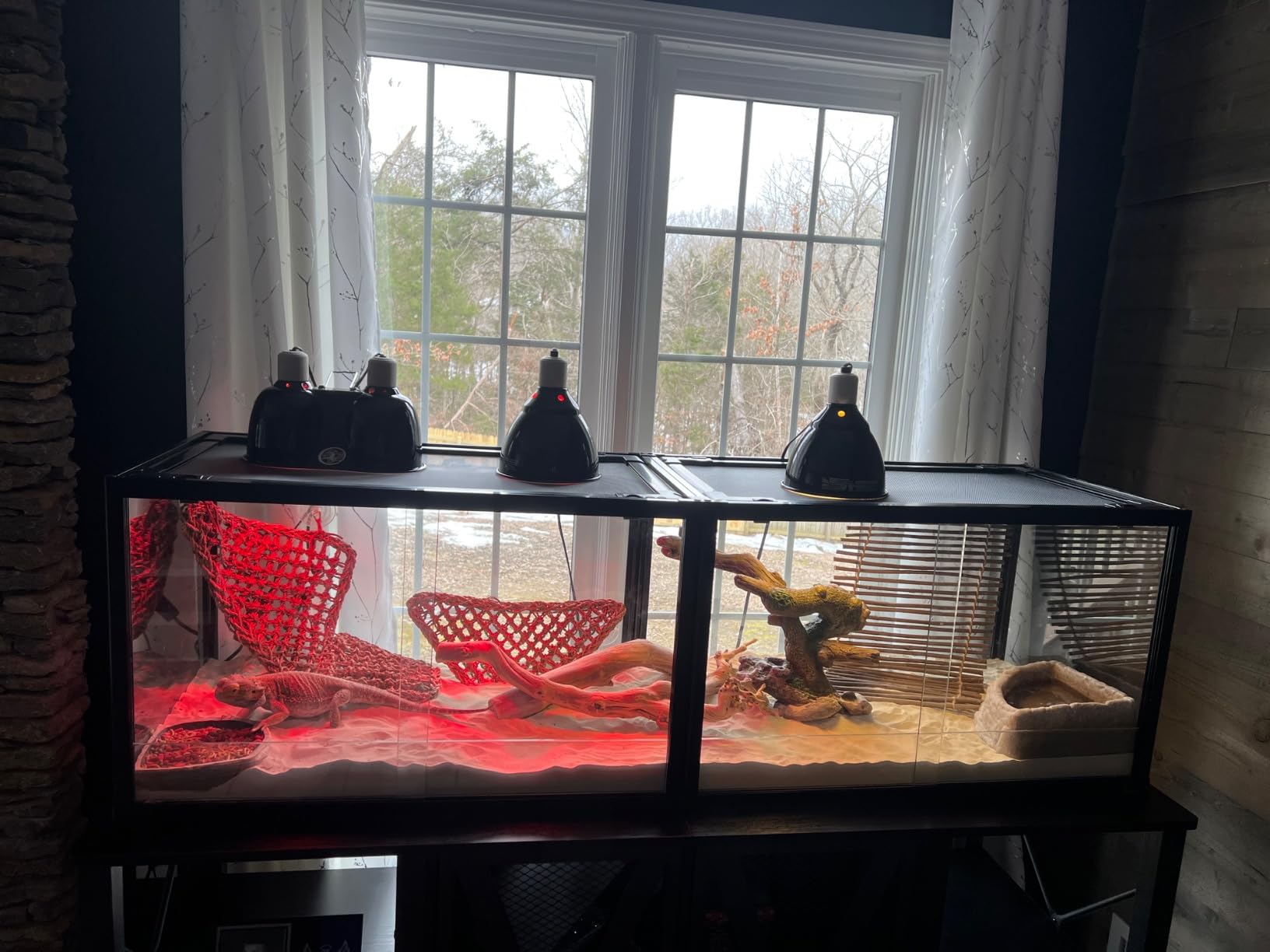 REPTIZOO 15 Gallon Full Glass Reptile Terrarium 12