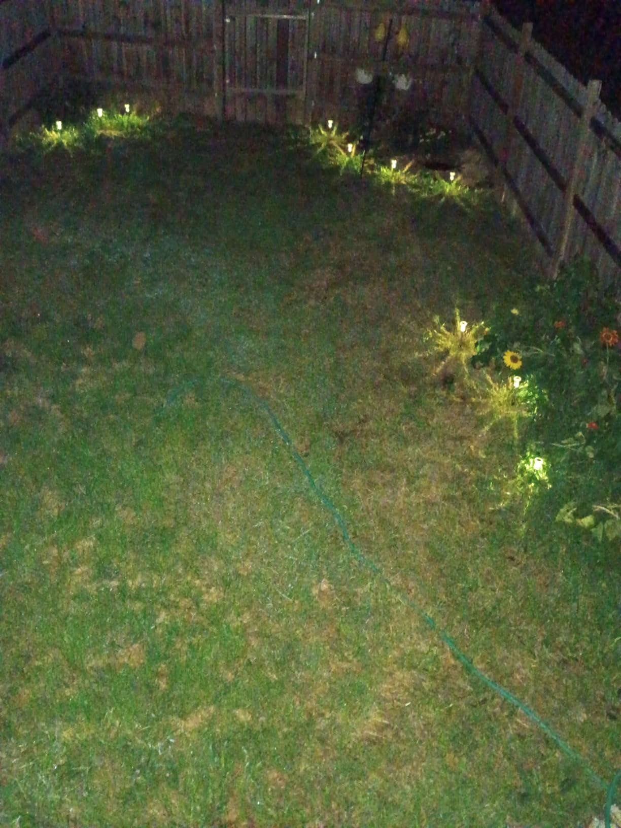 Eyrosa Solar Outdoor Lights, 10 Pack Waterproof Stainless Steel Solar Stake Lights for Pathway Garden Yard Path Walkway Driveway Lawn Patio Outside Decor, Cool White customer photo 1