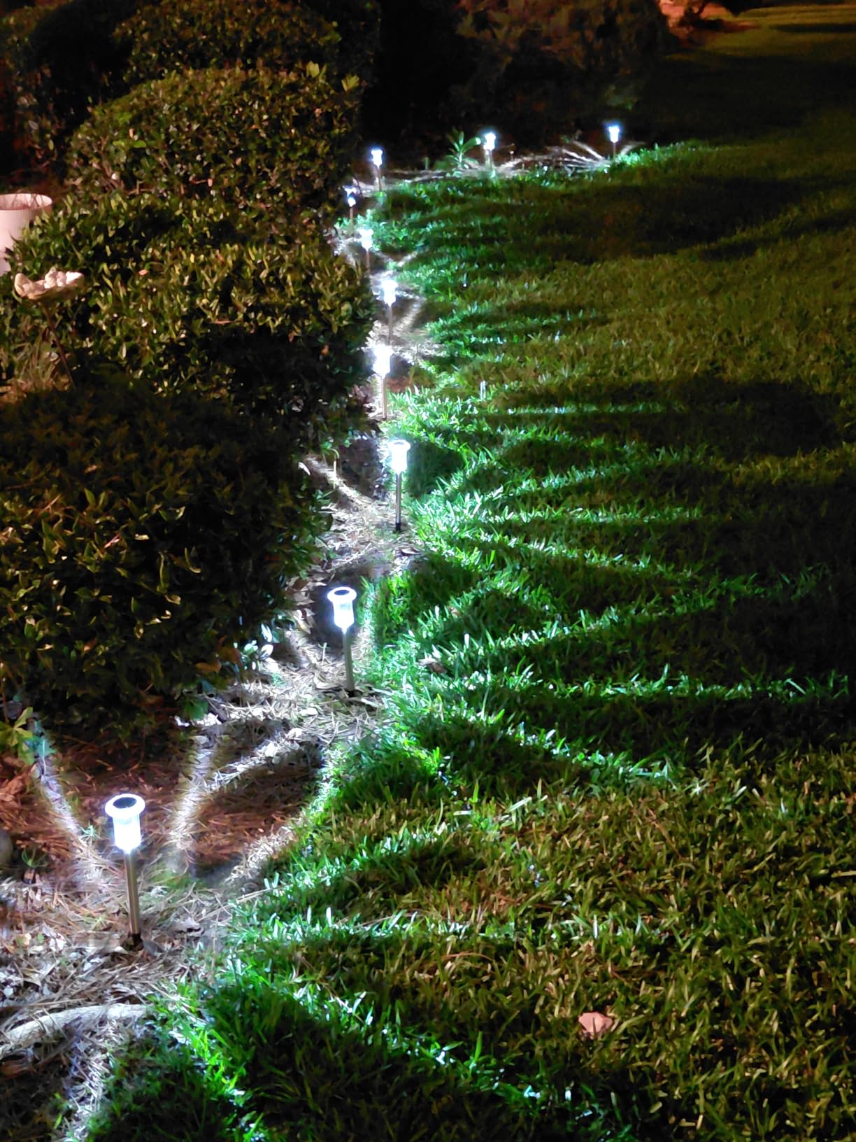 DenicMic Solar Lights Outdoor Waterproof 10 Pack Pathway Lights Cool White customer photo 2