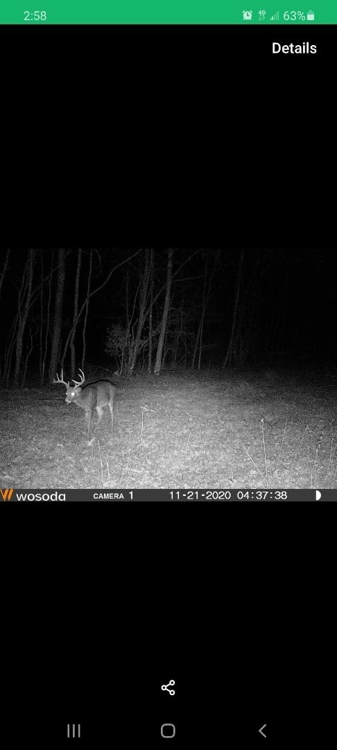 WOSODA 2 Pack Trail Cameras with Night Vision Motion Activated Waterproof,48MP Hunting Game Camera,1080P HD Trail Cam for Wildlife Monitoring,Outdoor Scouting & Security(Non-Cellular Non-WiFi) customer photo 1