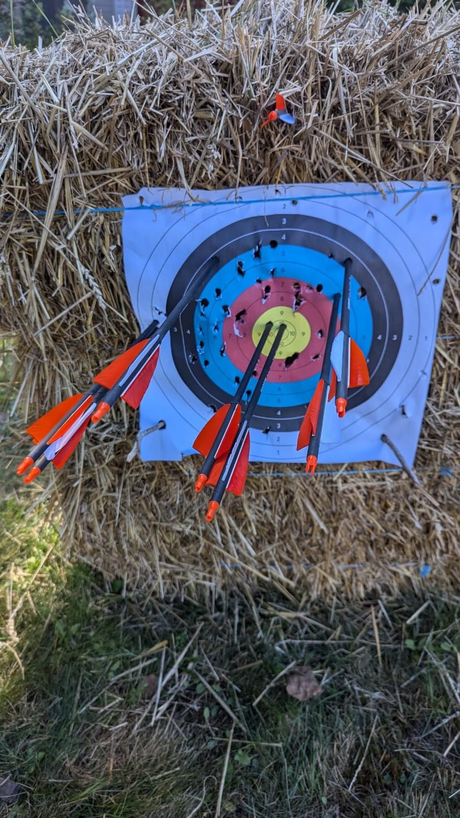 30 Inch Archery Carbon Arrows Hunting Arrows with 4” Turkey Feather Target Practice Arrows Spine 500 for Compound & Recurve &Traditional Bow 6/12pcs customer photo 1